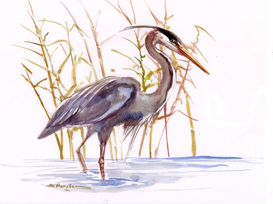 Blue Heron