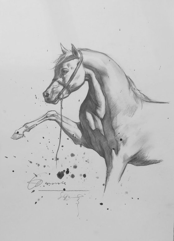 Horse #1978