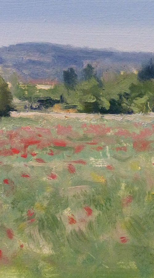 Field with Poppies by Pascal Giroud