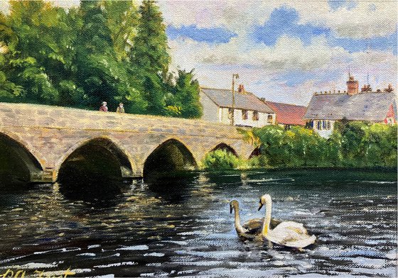 Swans on the Avon