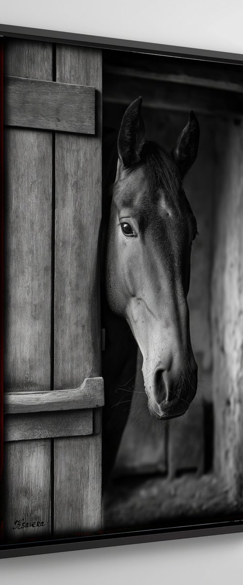 Horse in old village B0805C by Ksavera