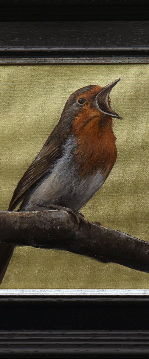 Red Robin, Gold Background, Bird Artwork, Animal Art Framed by Alex Jabore