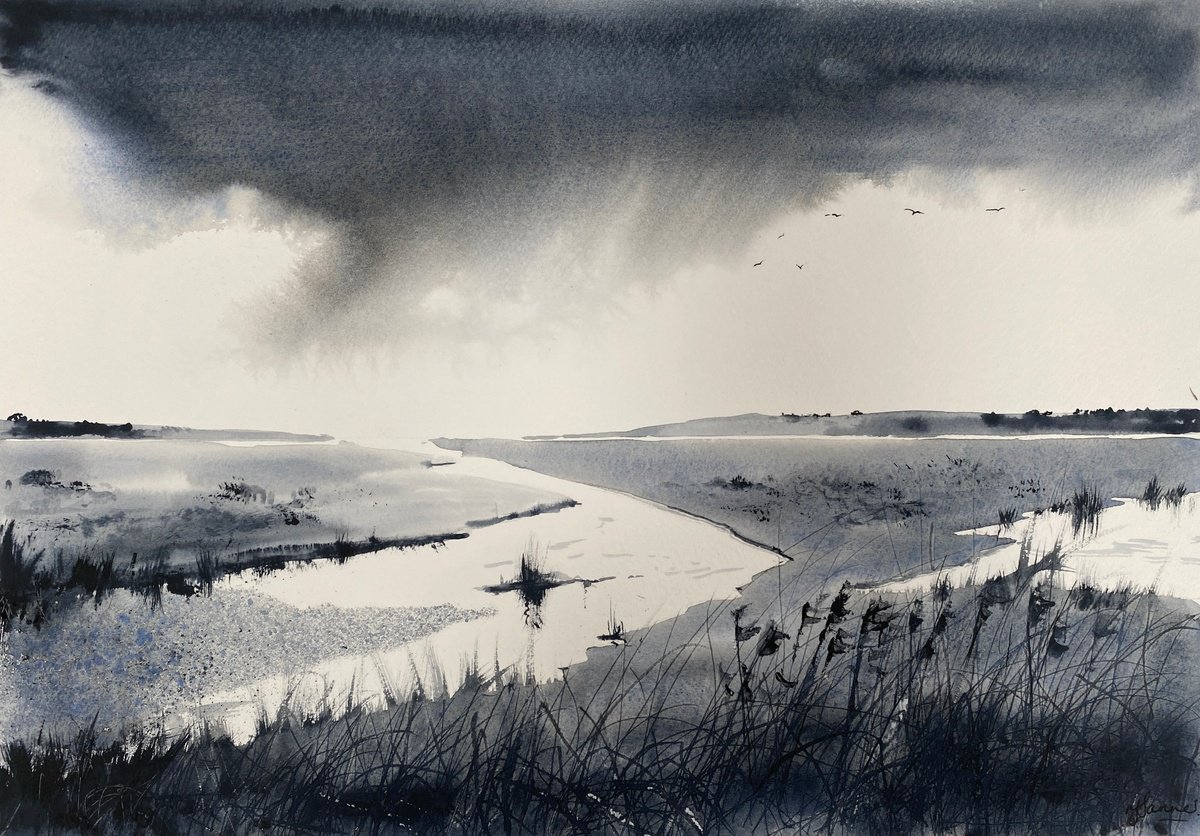 Monochrome rainclouds marshes by Teresa Tanner