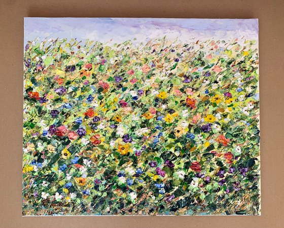 Colorful flowers in the field