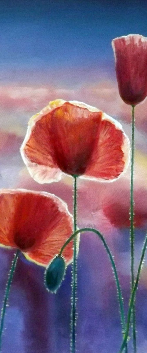 Poppies (Framed) by Oleg Riabchuk