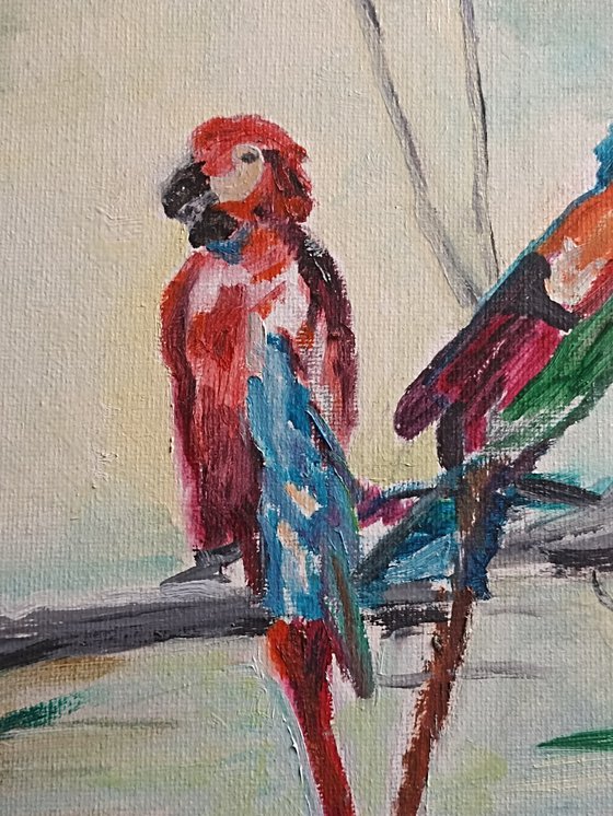 Parrots birds