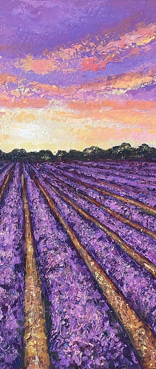 Lavender Sunrise by Colette Baumback