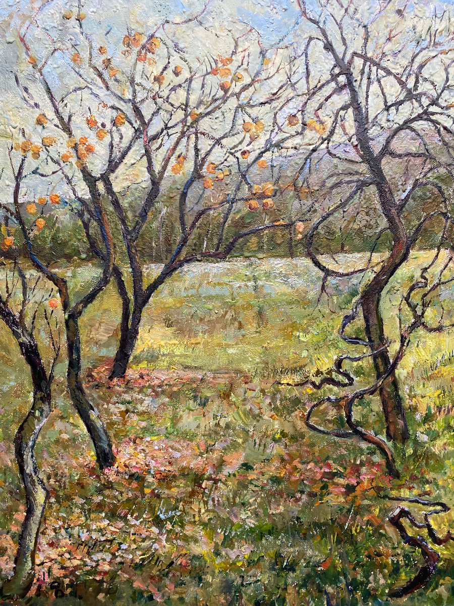 Persimmon Trees in October in the Georgian Countryside Landscape by Zurab Sharvadze