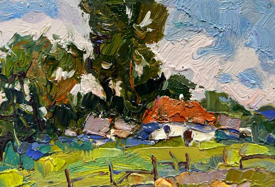 There are pumpkins growing