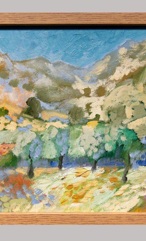 Olive Groves by Elizabeth Anne Fox