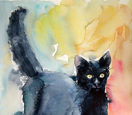 Black cat III