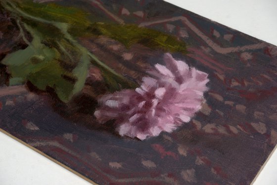 Chrysanthemum