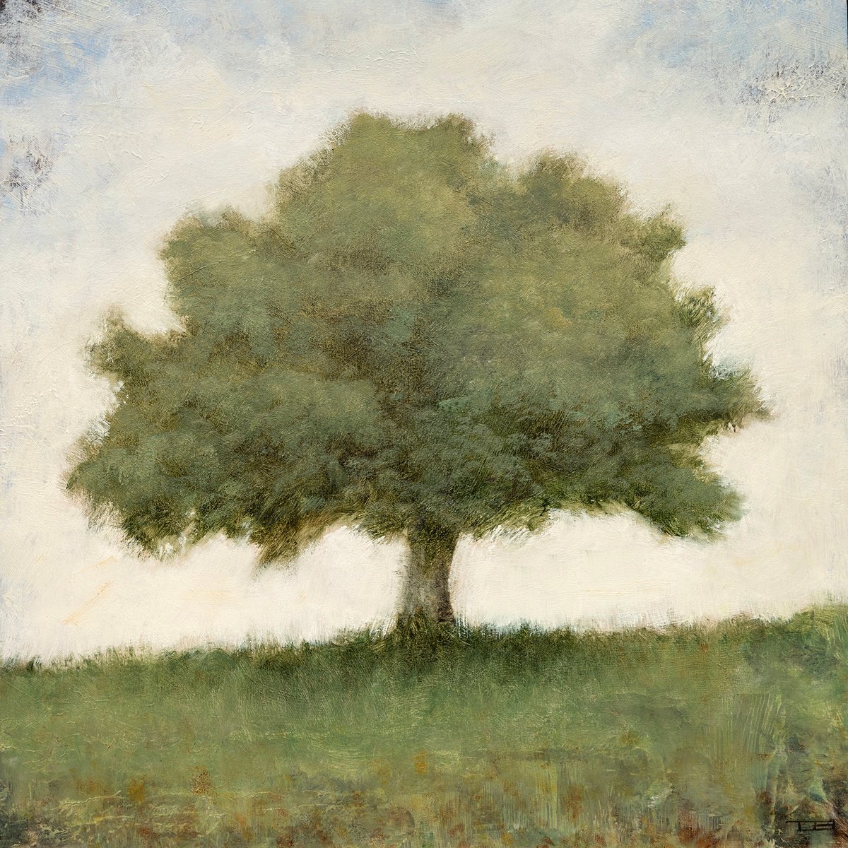 Zen Tree 29 260316 By Don Bishop, 12 X 12, Artwork For Sale On Artfinder