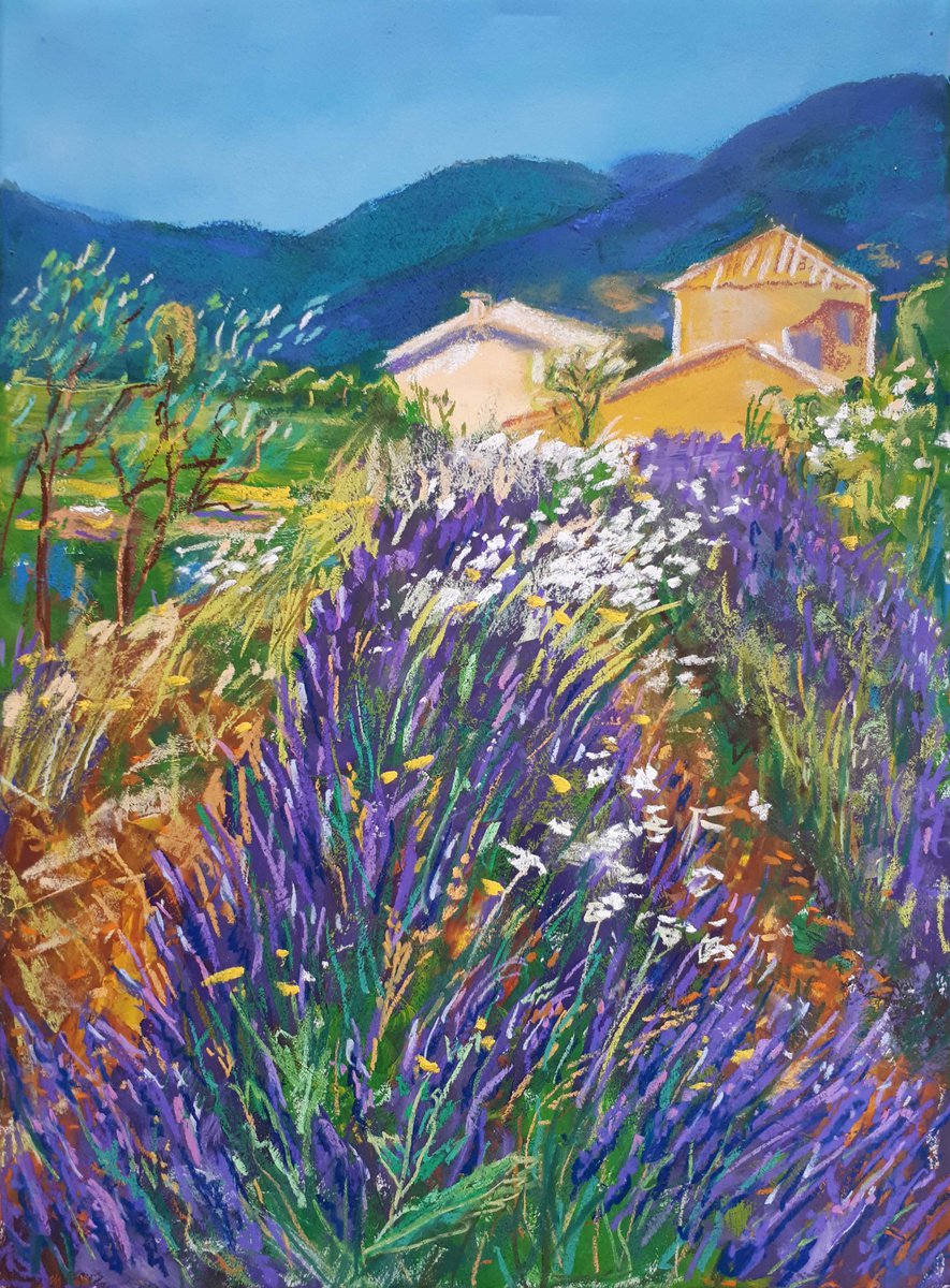 Happy farm of lavender I /  ORIGINAL PAINTING by Salana Art Gallery