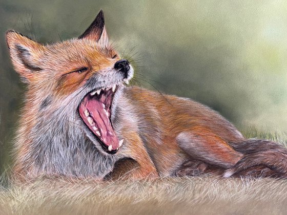 Fox