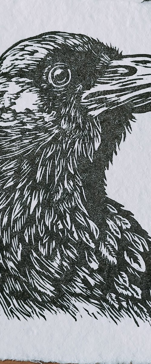 Raven Small Print by TARA SLATER