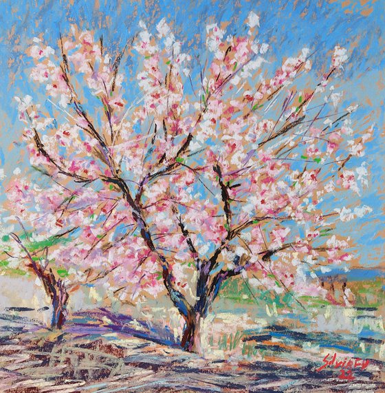 Almond blossom