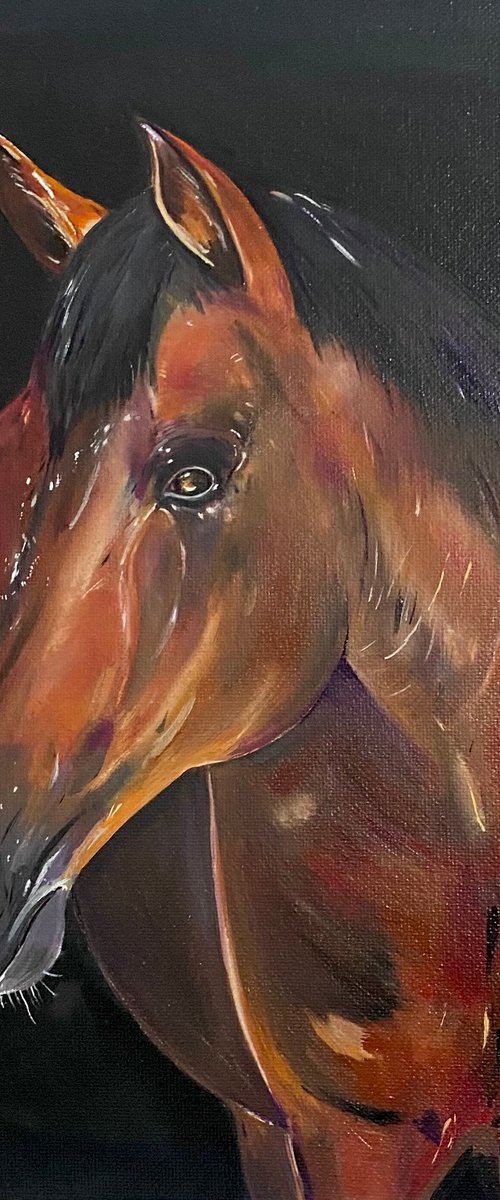 ‘Midnight’ Horse oil painting by Bethany Taylor