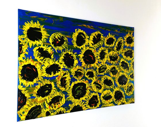 Blooming sunflowers 6