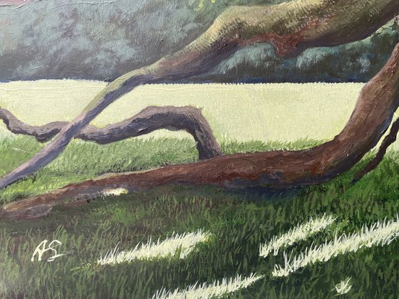Dance of the Mighty Oak