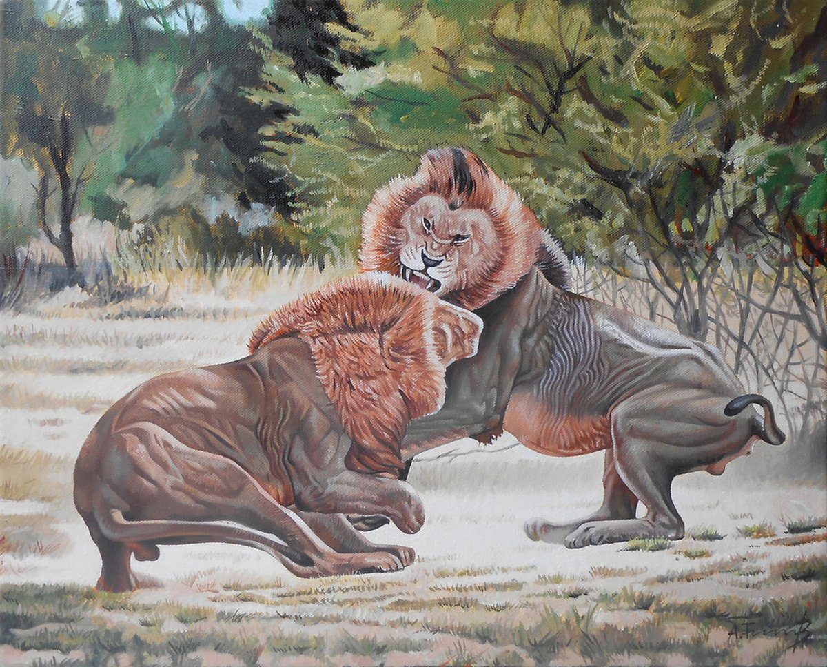 Lion Fight 4 by Alexander Titorenkov