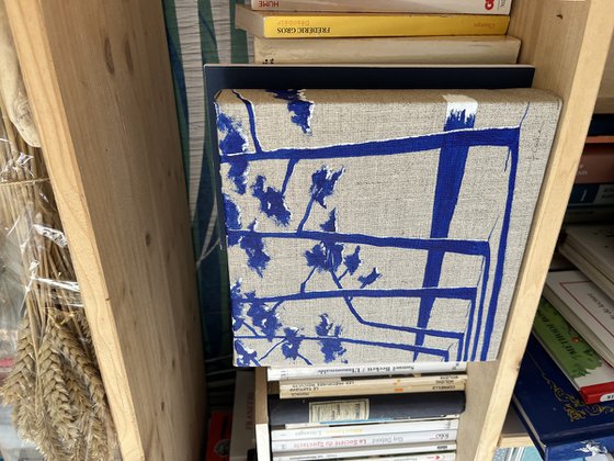 Cap Coz ultramarine 3D