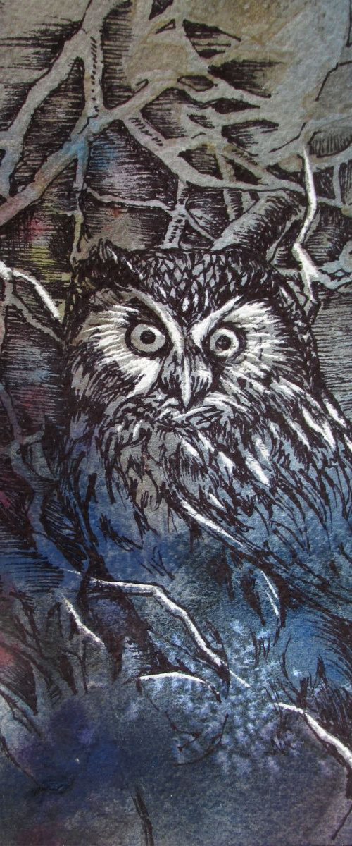 night owl drawing by Alfred  Ng