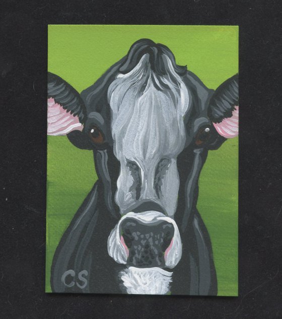 ACEO ATC Original Painting Black White  Cow Farm Animal Art-Carla Smale