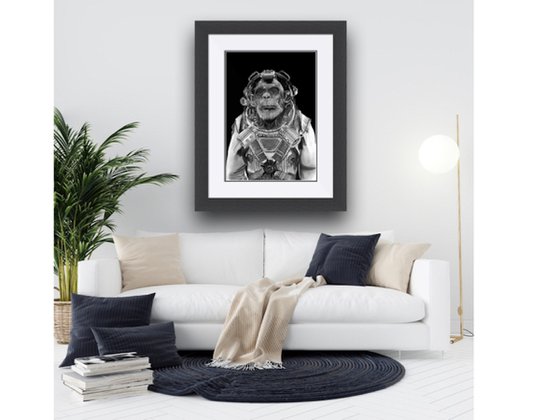 Space Chimp