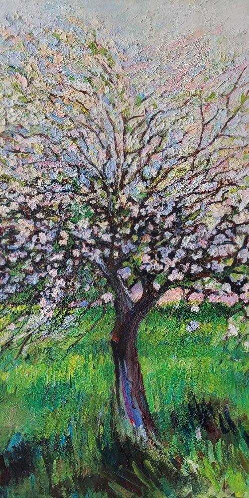 Apple Tree by Katarzyna Sikorska-Gawlas
