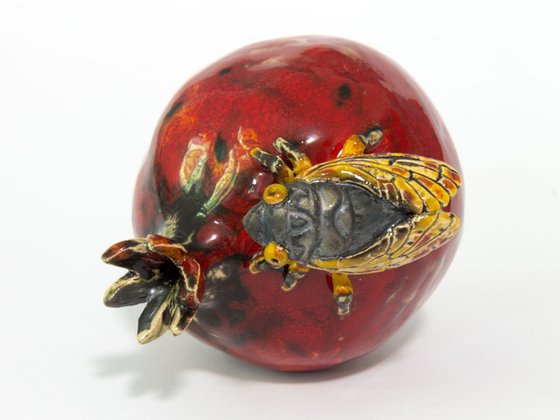 Cicada and pomegranate