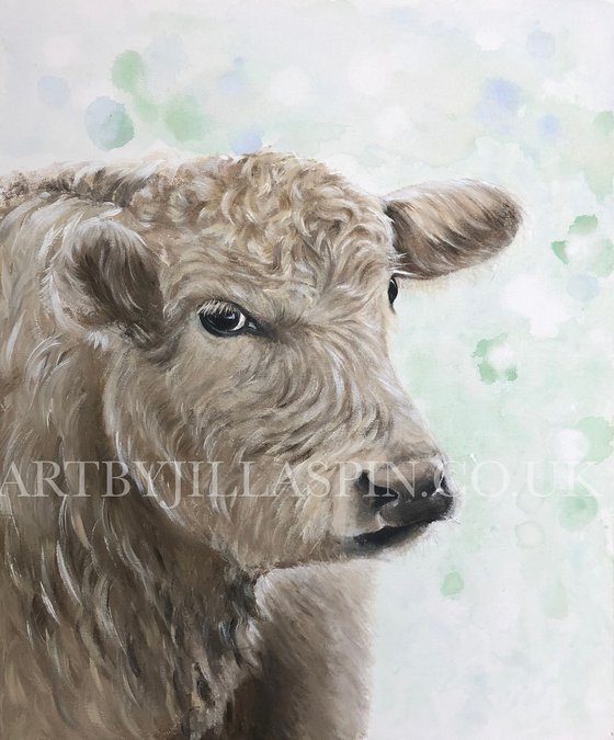 Calf in Acrylics