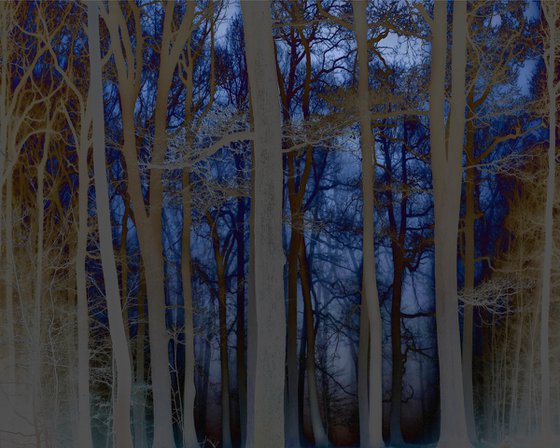 Natural woodland 278