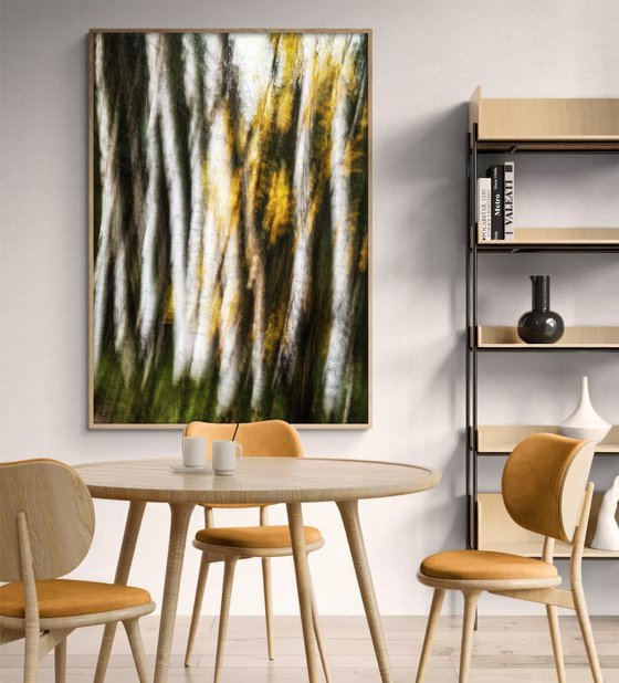 Birches (studio 2)