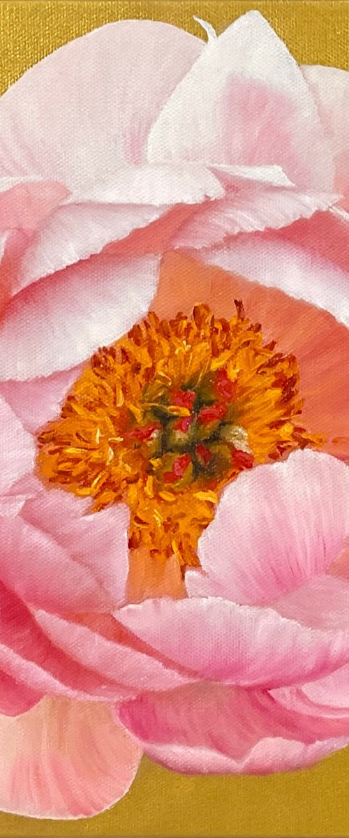 Coral Beauty by Alla Kallass