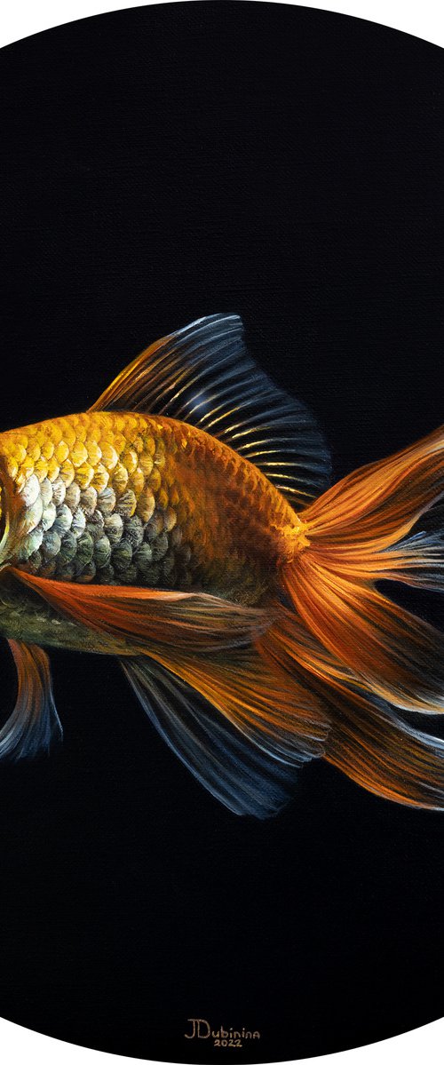 Goldfish by Julia Dubinina