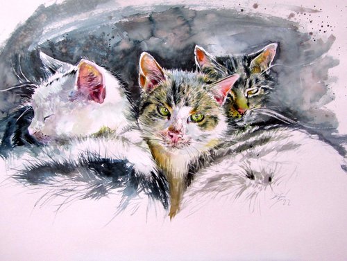 Our cats by Kovács Anna Brigitta