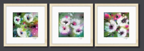 Floral Dream Collection 1 - 3 Framed Paintings by Kathy Morton Stanion