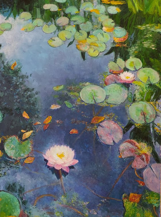 Water lilies