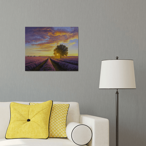 Lavender evening