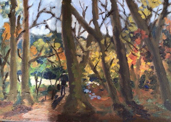 Woodland walk