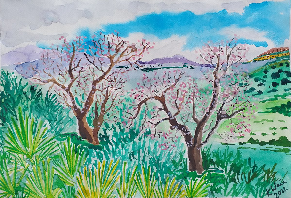 Almond blossom in Sierra Gordo by Kirsty Wain