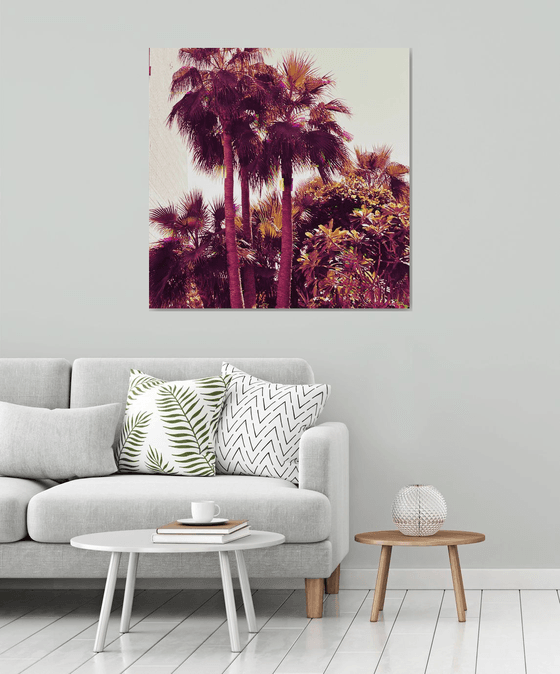 Palms IV