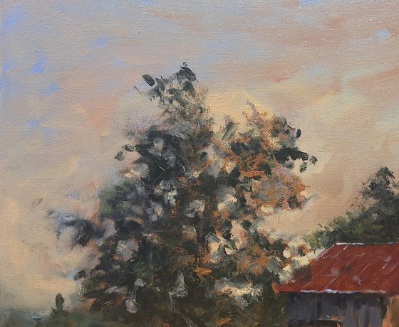 'Golden Hour In Rural France'