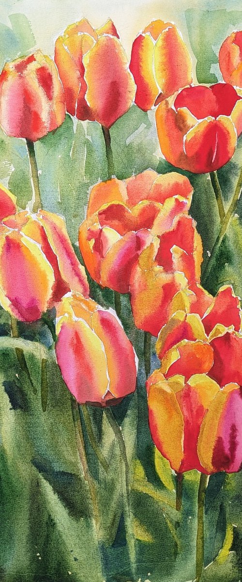 Tulips#3 by Yurii Pashkov
