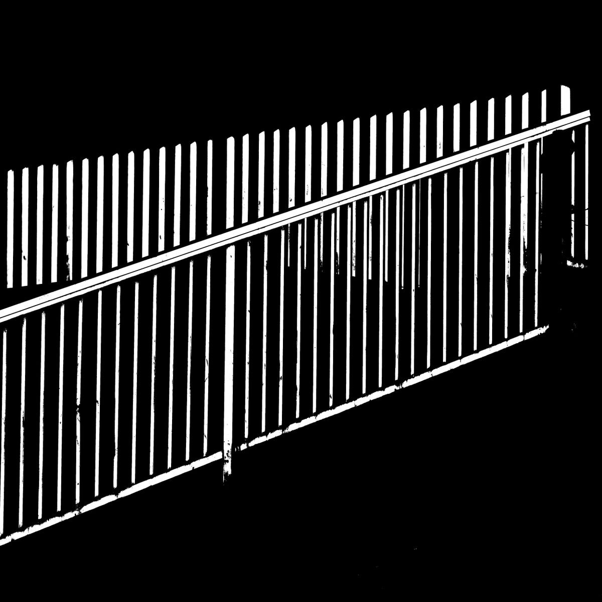 The Fence by Dieter Mach