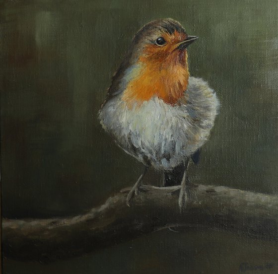 Lockdown's Morning Chorus Series - Robin, Bird Artwork, Animal Art Framed