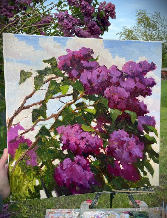 Blooming Lilac Bush