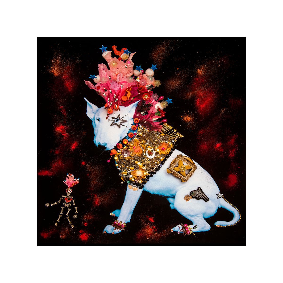 Urban And Pop Animal Photograph By B-Brown & Scheinmann, 22 X 22, Peter, Original Artwork