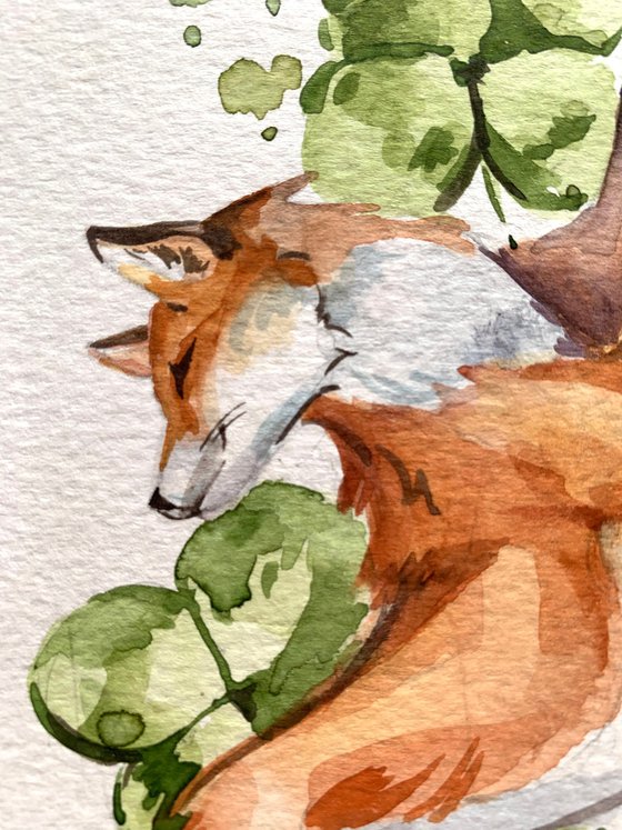 Fox with clovers